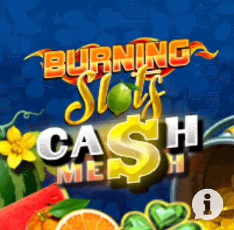 play burning slots in zebet casino